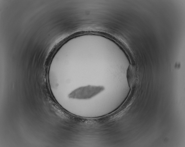 X0000088900974200707061450