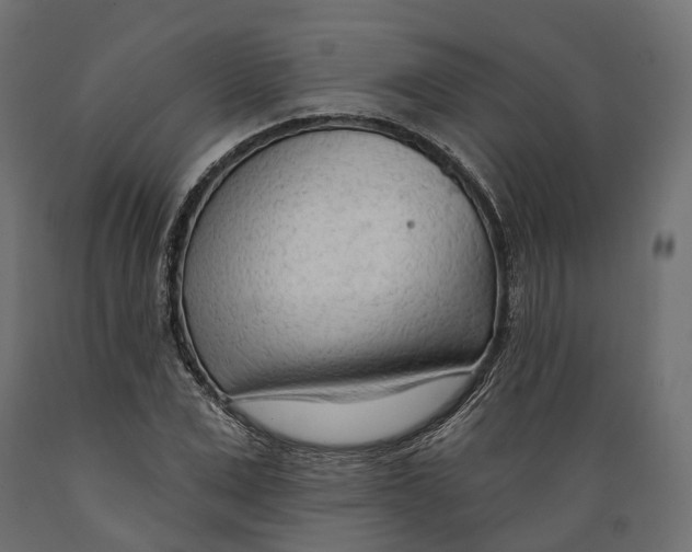 X0000088900975200707061450