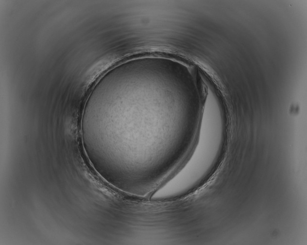 X0000088900977200707061450