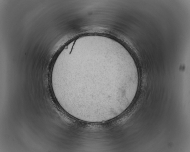 X0000088900978200707061450