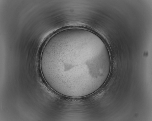 X0000088900979200707061450