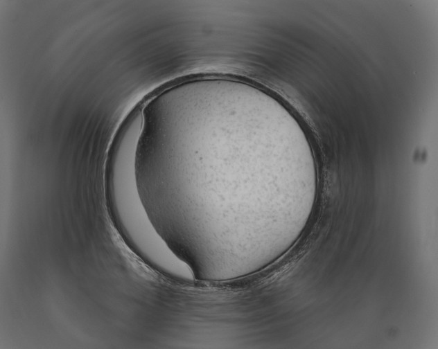 X0000088900980200707061450