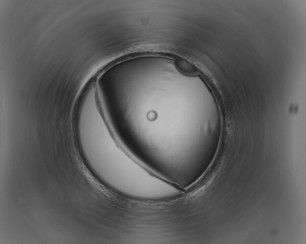 X0000088900981200707061450