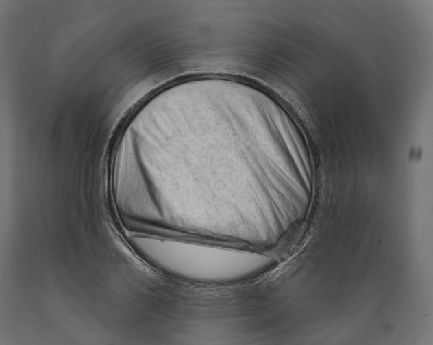 X0000088900982200707061450