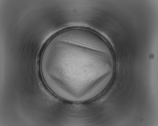 X0000088900983200707061450