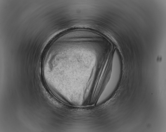 X0000088900984200707061450