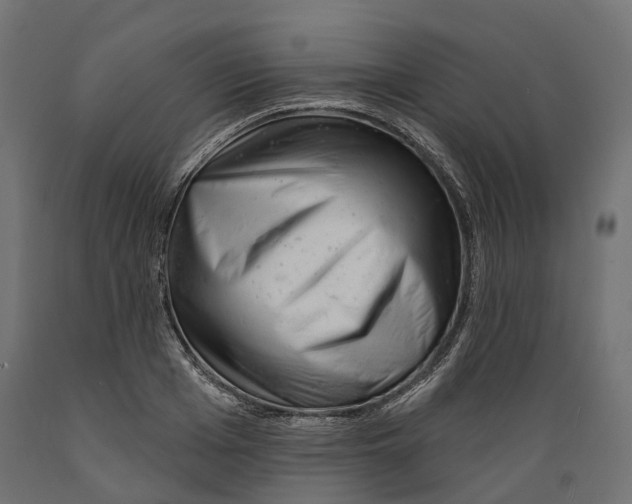 X0000088900985200707061450