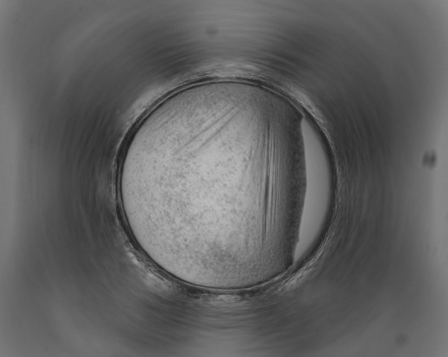 X0000088900986200707061450