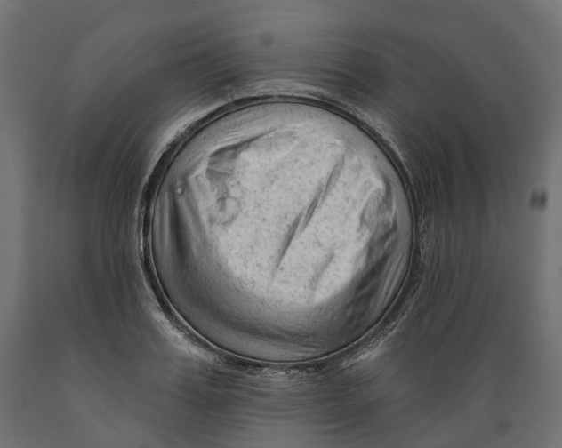 X0000088900987200707061450