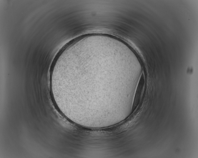 X0000088900988200707061450