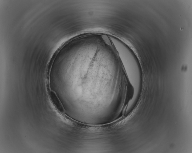 X0000088900989200707061450