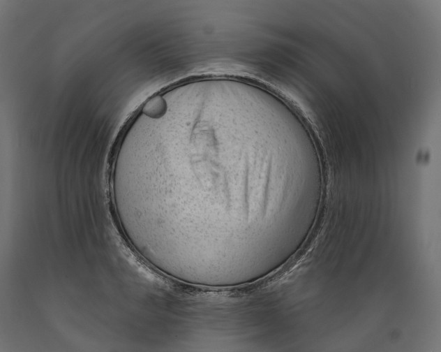 X0000088900990200707061450