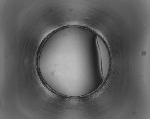 X0000088900991200707061450