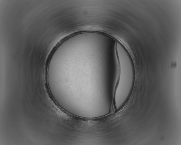 X0000088900992200707061450