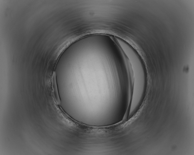 X0000088900993200707061450