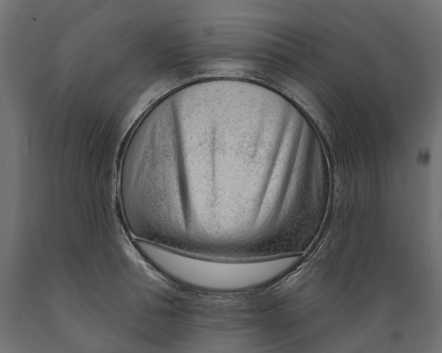 X0000088900994200707061450