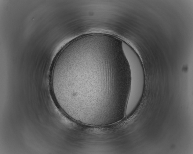 X0000088900995200707061450