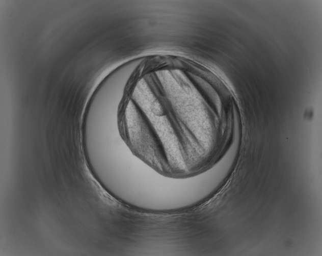 X0000088900996200707061450