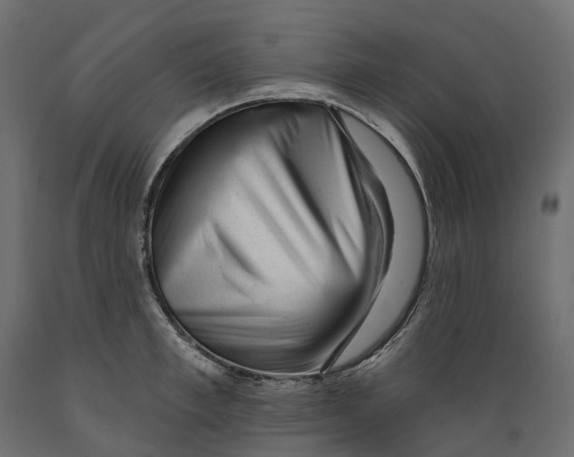 X0000088900997200707061450