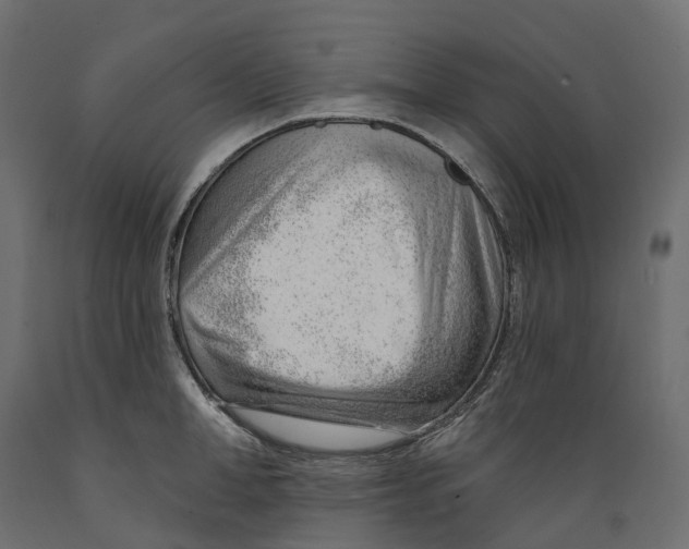 X0000088900998200707061450