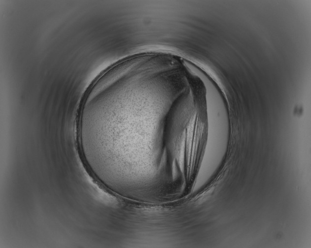 X0000088900999200707061450