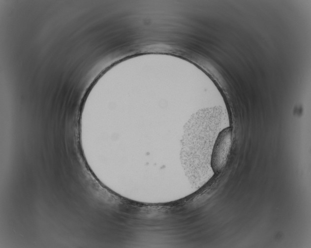 X0000088901000200707061450