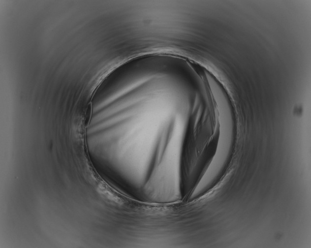 X0000088901001200707061450