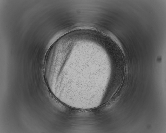 X0000088901002200707061450