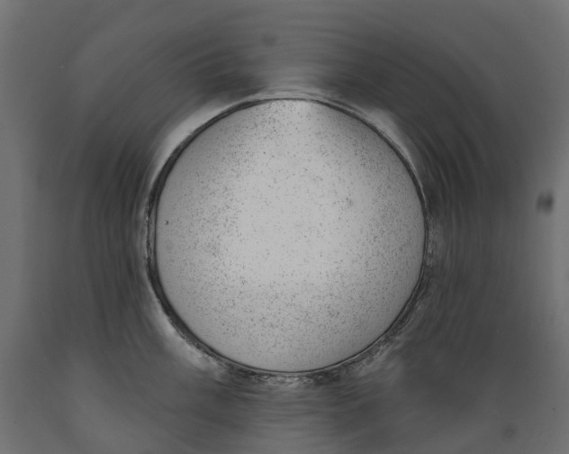 X0000088901003200707061450