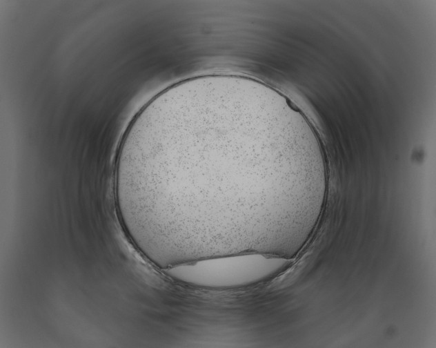 X0000088901004200707061450