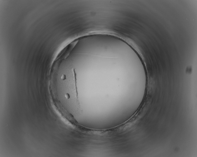 X0000088901005200707061450