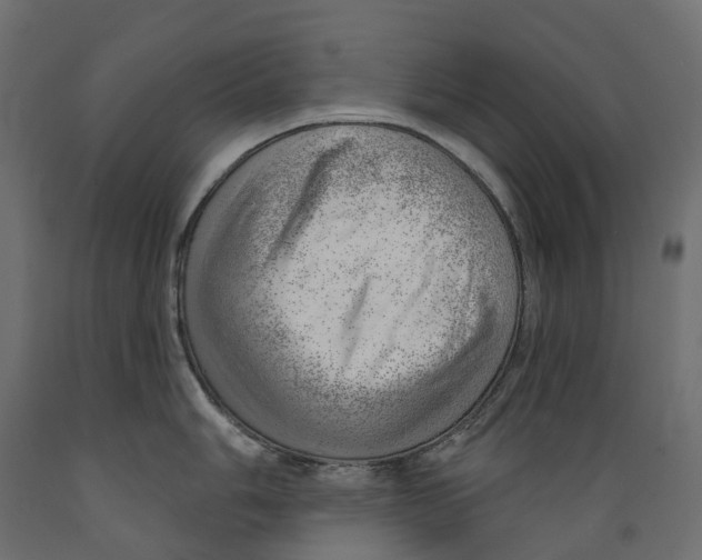 X0000088901006200707061450