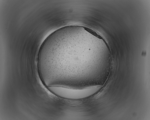 X0000088901007200707061450