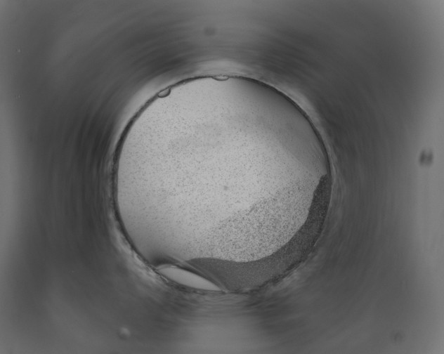 X0000088901008200707061450