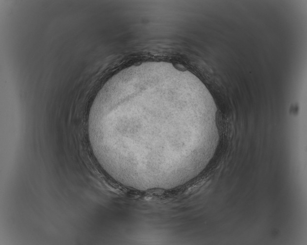 X0000088901009200707061449