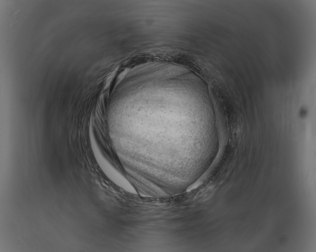 X0000088901010200707061449