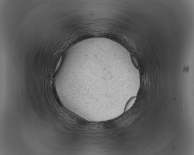 X0000088901012200707061449