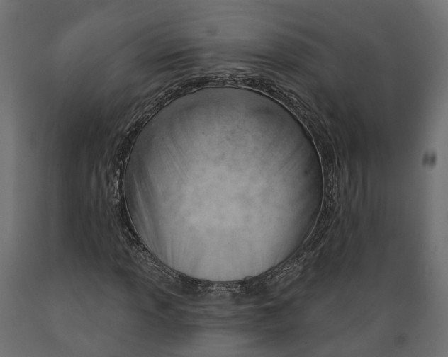 X0000088901013200707061449