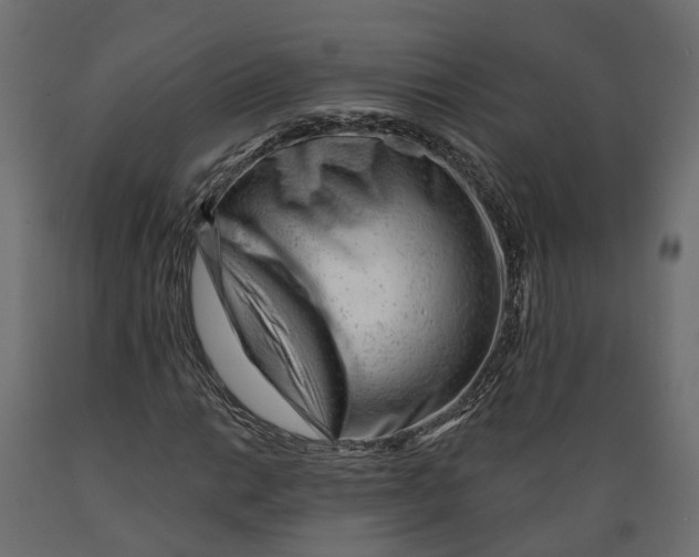 X0000088901014200707061449