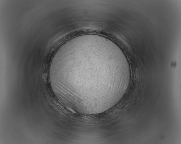 X0000088901015200707061449