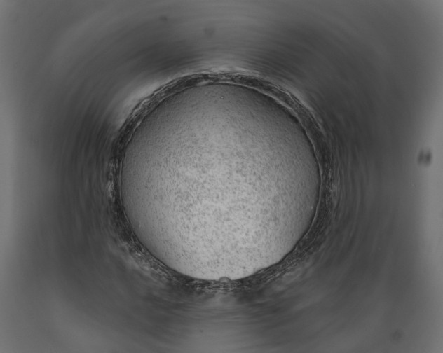 X0000088901016200707061449