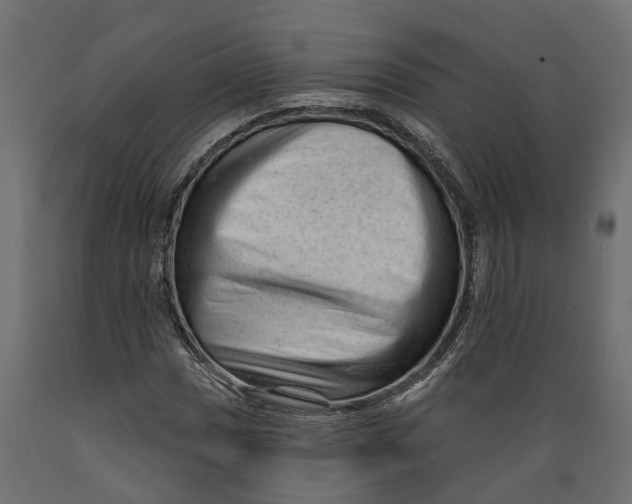 X0000088901017200707061449