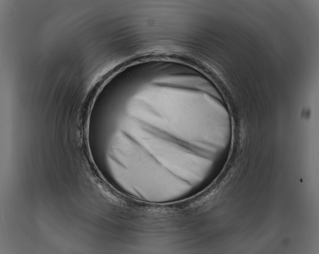 X0000088901018200707061449