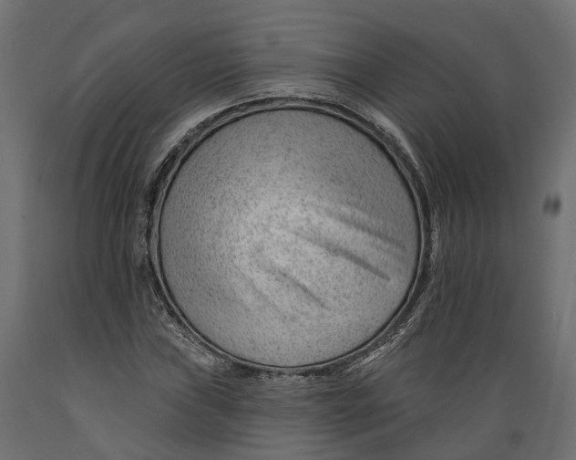 X0000088901019200707061449