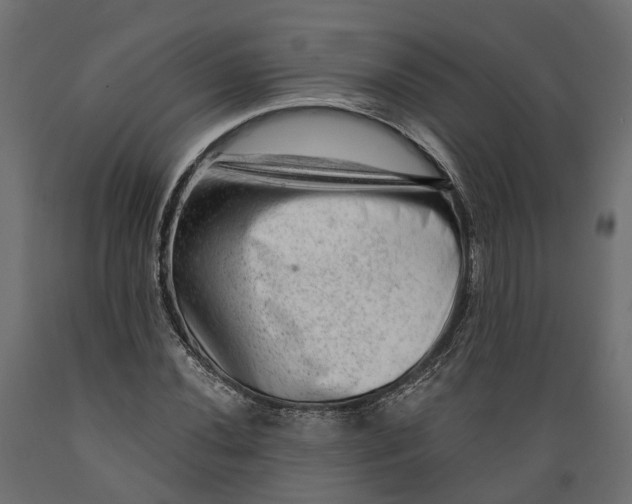 X0000088901020200707061449