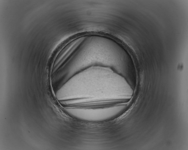 X0000088901021200707061449