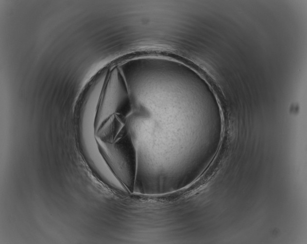 X0000088901022200707061449