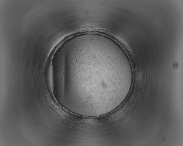 X0000088901023200707061449