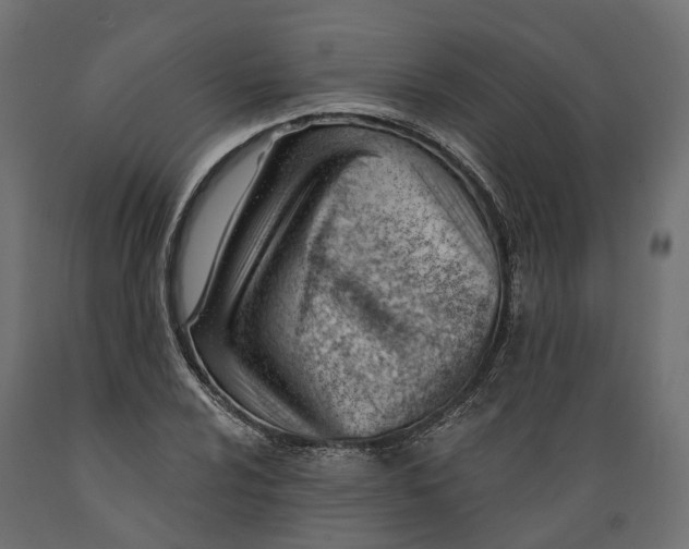 X0000088901024200707061449