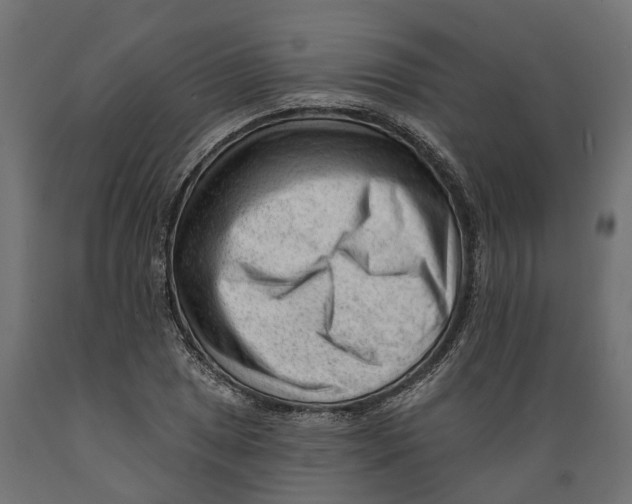 X0000088901025200707061449